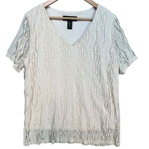 Venezia Lace Overlay V-Neck Short Sleeve Stretch Top Cream 14/16